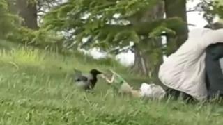 ‘Hırsız Karga’ parkta oturan gençlerin cipsini çaldı