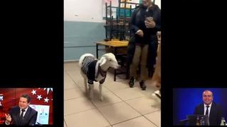 Cüneyt Özdemir'den sosyal medyayı sallayan görüntüye güldüren yorum: İşte kuzu kuzu geldim