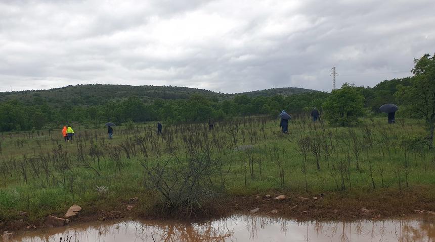 75 yaşındaki kadın mantar toplamak için gittiği ormanda kayboldu