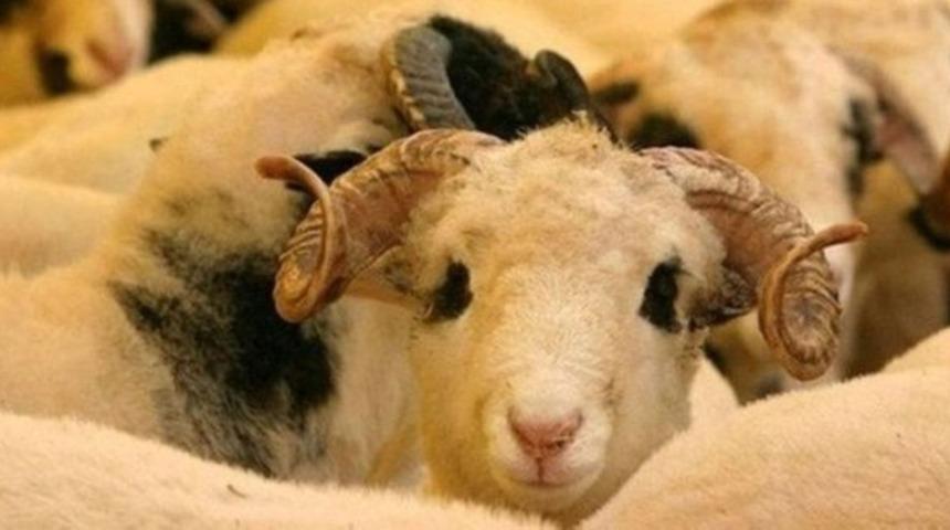 KURBAN BAYRAMI TATİLİ kaç gün? Kurban Bayramı tatili ne zaman başlıyor? Cumhurbaşkanı Erdoğan açıkladı