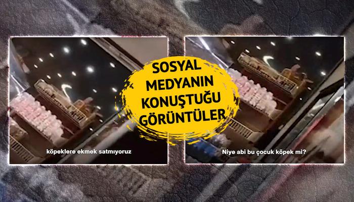 www.mynet.com
