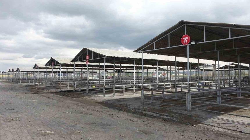 Kurban Bayram’ı öncesi Sivas’ta tüm hayvan pazarları kapatıldı