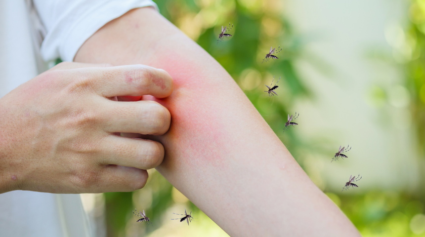 Haşere uzmanı sinekleri saniyeler i&ccedil;erisinde kovacak y&ouml;ntemi paylaştı