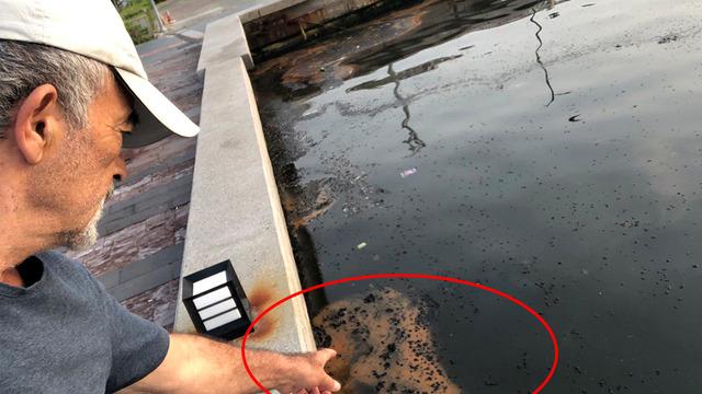 İzmir’de endişelendiren görüntü! Uyarı geldi: ‘Şu anda görünen belirtileri önlem alınmazsa…’