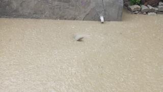 Afyonkarahisar'da sağanak etkili oldu