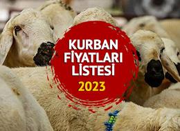 KURBAN FİYATLARI LİSTESİ 2023: Dana, tosun, kuzu, koyun gibi büyükbaş ve küçükbaş kurbanlık fiyatları ne kadar, kaç TL? 