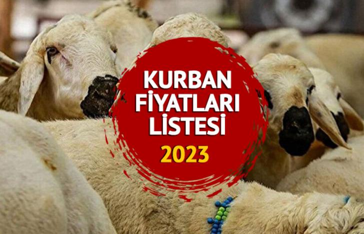 KURBAN FİYATLARI LİSTESİ 2023: Dana, tosun, kuzu, koyun gibi büyükbaş ve küçükbaş kurbanlık fiyatları ne kadar, kaç TL? 