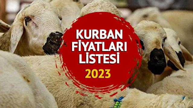 KURBAN FİYATLARI LİSTESİ 2023: Dana, tosun, kuzu, koyun gibi büyükbaş ve küçükbaş kurbanlık fiyatları ne kadar, kaç TL? 