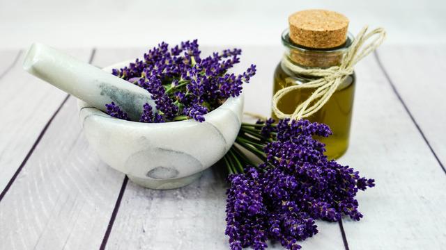 Lavanta yağı saça faydaları: Lavanta yağı saça nasıl uygulanır?	