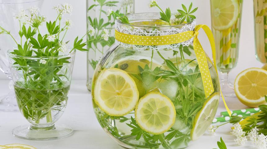 Yoğurt otu faydaları: Yoğurt otu nedir, ne işe yarar?	