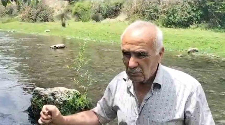 Osmaniye&rsquo;deki Sabun &Ccedil;ayı&rsquo;nda balık &ouml;l&uuml;mleri