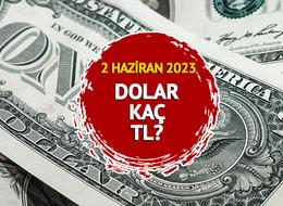 Dolar ne kadar? Euro kaç TL? 2 Haziran 2023 Cuma anlık dolar, euro ve sterlin fiyatları