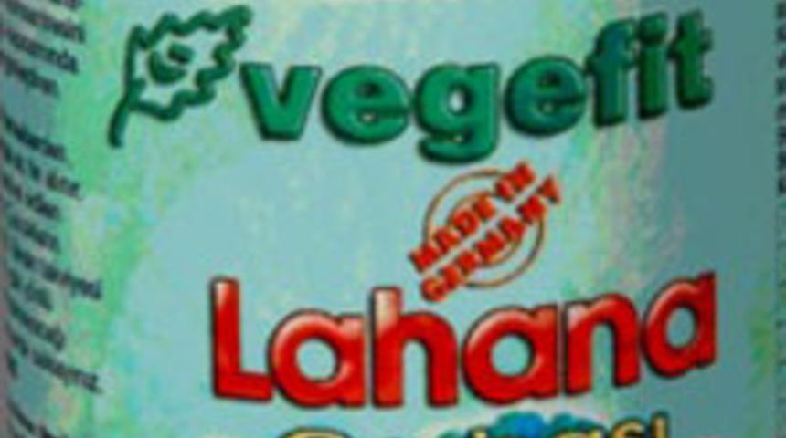 Lahana &Ccedil;orbasını İ&ccedil;emiyorsanız