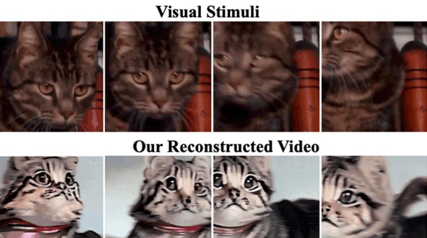 Yapay zeka beyin aktivitesinden "yüksek kaliteli" video oluşturdu, akıllara durgunluk verdi!