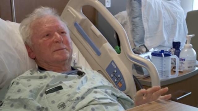 100’den fazla arının aynı anda saldırdığı 81 yaşındaki adam canını zor kurtardı! 3 saat boyunca mücadele etti... Kalçası kırılınca hastanelik oldu