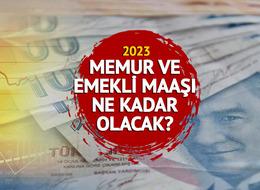 EMEKLİ-MEMUR ZAMMI SON DAKİKA 2023: Memur ve emekli maaşı zammı ne kadar olacak, kaç TL? Enflasyon farkı ne kadar? TÜİK enflasyon oranını açıkladı