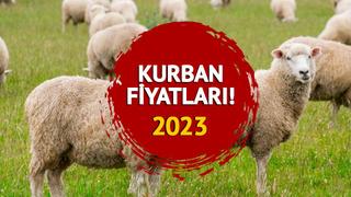 KURBAN FİYATLARI 2023 LİSTESİ BÜYÜKBAŞ-KÜÇÜKBAŞ: Kurban vekalet ücreti ve dana, tosun, kuzu, koyun kurban fiyatları ne kadar, kaç TL?