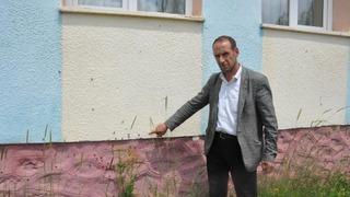 Binlerce çekirge köyü istila etti! 'Kapımızı, penceremizi açamıyoruz'