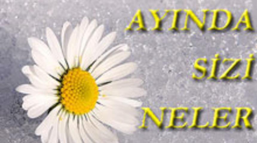 Ocak Ayı Bur&ccedil; Yorulmları