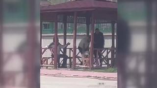 Tüyler ürperten anlar kamerada! Sokak köpeğini kemerle böyle dövdü