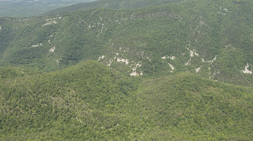 ABD'li milyarder iş insanının kızı ve torunu uçak kazasında öldü