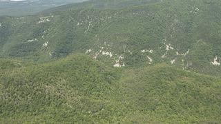 ABD'li milyarder iş insanının kızı ve torunu uçak kazasında öldü