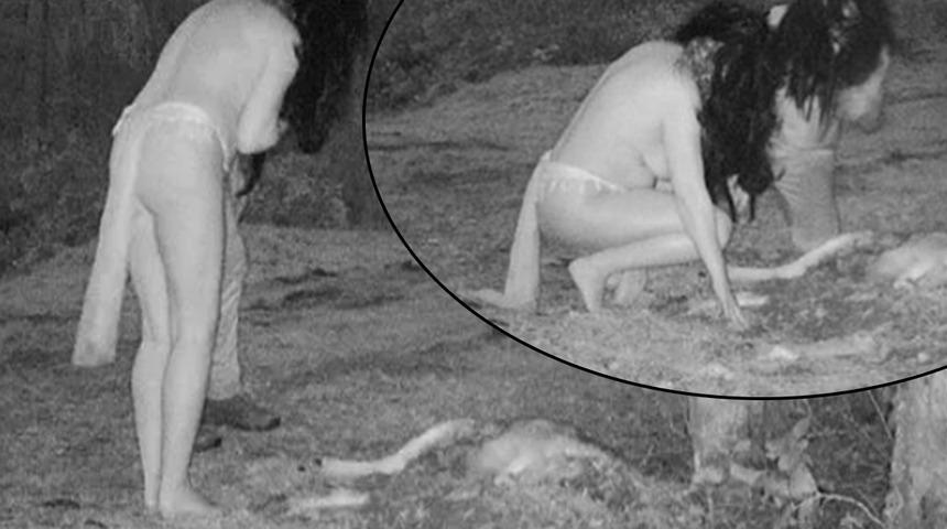 Görüntüler korku filmlerini aratmadı! Bahçesine kurduğu kamera başına bela oldu... “İki kadın ölü geyiği çiğ çiğ yedi”