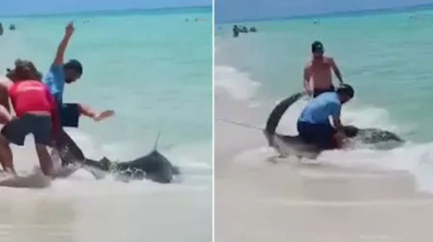 Görenler şaşkınlığını gizleyemedi! Balık oltasına takılan 1.8 metrelik köpek balığının resmen sırtına çıktı