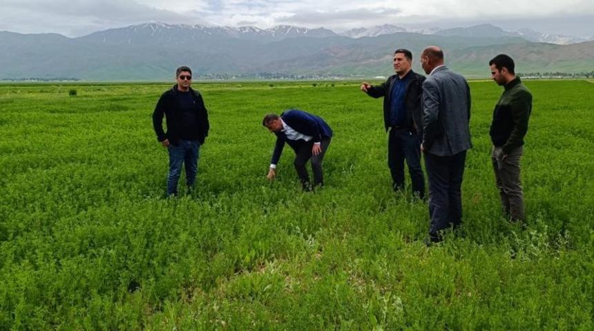 Yüksekova’da çekirge sürvey çalışması