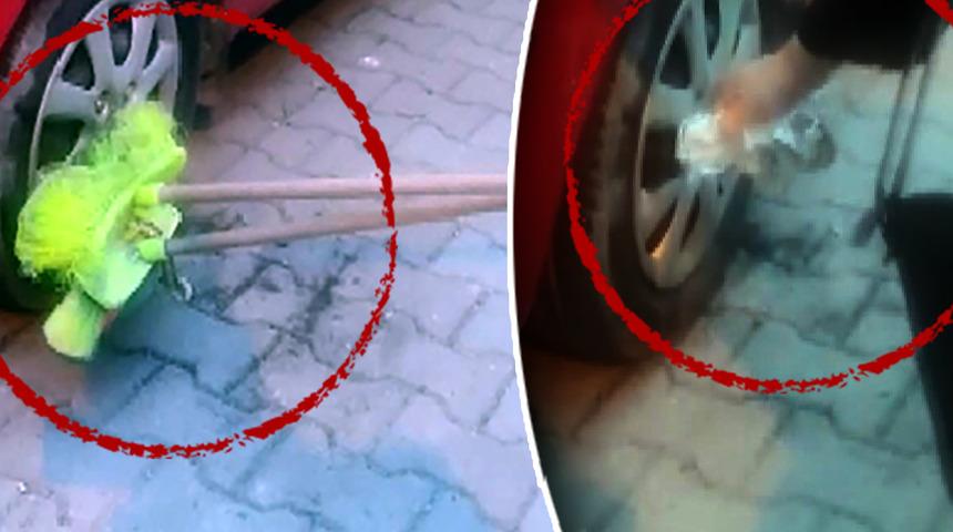 Ne yaptılarsa da oradan çıkaramadılar: İlk defa gördükleri yılan panik yarattı! "Avcılar'da bunu görmek de nasip oldu"