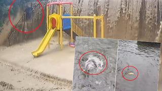 Sel sularından kaçma anı dehşete düşürdü, sokakları balıklar bastı! Uyarı geldi: ‘Olağanüstü durumlar yaşanabilir’