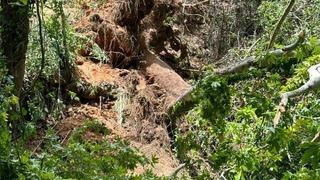 Muğla'da feci olay! Turistlerin üzerine devrildi...