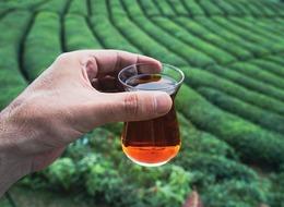 Son dakika: Çaya zam geldi! Çaykur yüzde 44 zamlı yeni listeleri şirketlere gönderdi: 1 kiloluk paket artık 141 lira…