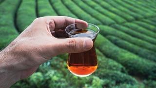 Son dakika: Çaya zam geldi! Çaykur yüzde 44 zamlı yeni listeleri şirketlere gönderdi: 1 kiloluk paket artık 141 lira…