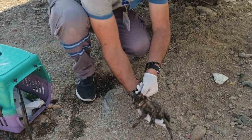 Vatandaş ihbar etti, belediye m&uuml;dahale etti