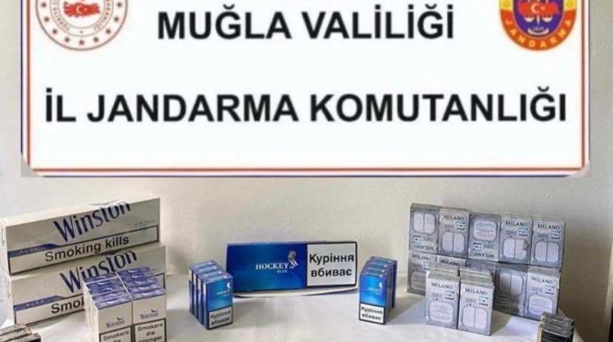Muğla’da kaçak sigara operasyonu