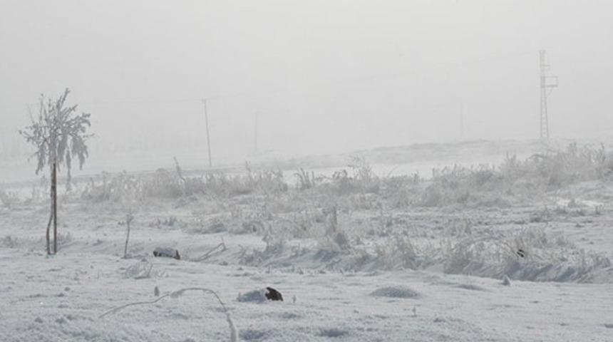 Doğu'da Sibirya soğukları