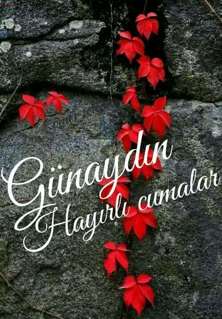 RESİMLİ CUMA MESAJLARI 9 HAZİRAN 2023: Güzel sözlü, güllü, hadisli, ayetli ve dualı 'Hayırlı Cumalar' sözleri ile resimli cuma mesajları İNDİR! G3