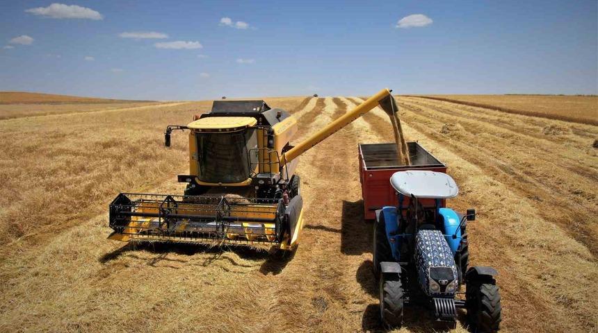 Diyarbakır hububatında tarihi rekolte: &Ccedil;ift&ccedil;inin y&uuml;z&uuml; g&uuml;ld&uuml;