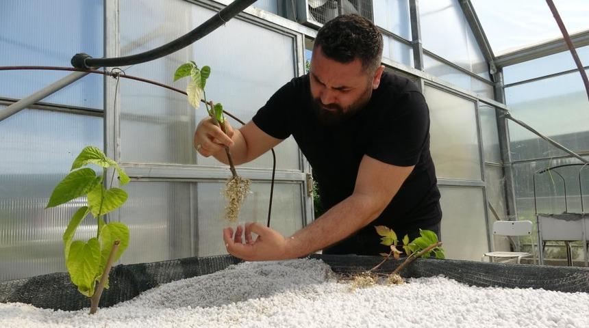 Dünyada ilk kez denendi! Üretim kat kat arttı