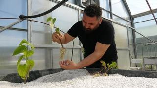 Dünyada ilk kez denendi! Üretim kat kat arttı