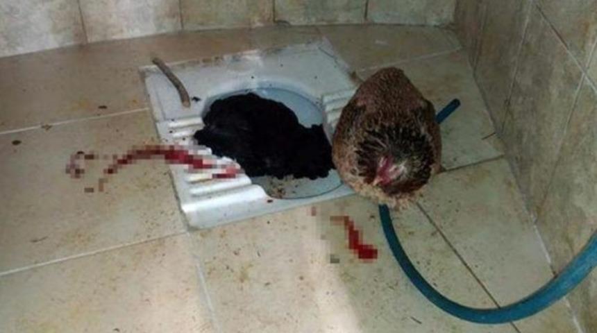 Mezarlık tuvaletinde şoke eden manzara!