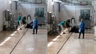 'Göz göre göre zulüm' Adana Et ve Süt Kurumu'nda tepki çeken görüntüler! Başına sopayla defalarca vurarak... Açıklama geldi