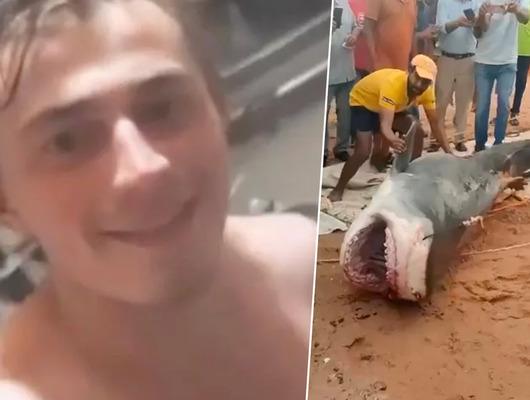 Rus turistin cesedi köpek balığının sindirim sisteminde bulundu