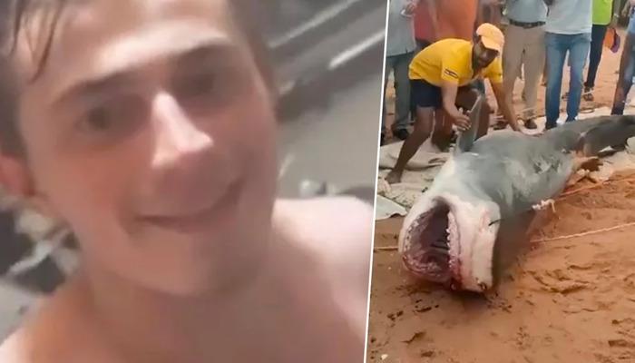 Rus turistin cesedi köpek balığının sindirim sisteminde bulundu