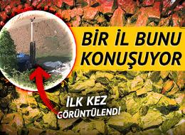 Türkiye'nin en büyüğü olacak: Bingöl'de 300 milyon tonluk keşif! 10 bin kişiye istihdam, cari açığa 600 milyon dolarlık katkı...