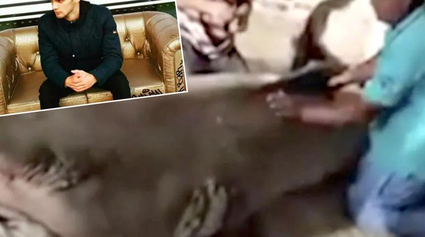 Dünya onu konuşuyor! Rus turisti öldüren köpek balığı hakkında karar verildi... Mumyalayarak müzede sergilenecek