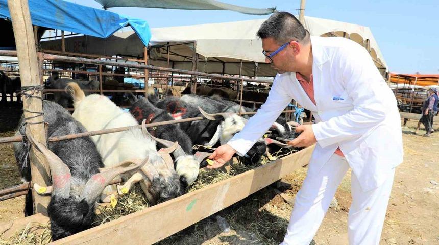 Yüreğir’de kurban satış ve kesim yerleri belirlendi