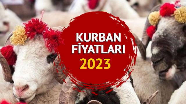 KURBAN FİYATLARI LİSTESİ 2023: Kurbanlık fiyatları ne kadar? Koyun, dana, koç, tosun, küçükbaş ve büyükbaş bu yıl kaça satılıyor?