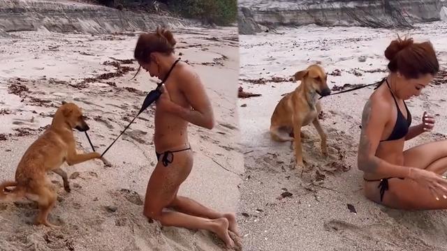 Sosyal medya fenomeni sahilde zor anlar yaşadı! Köpek bikini üstünün iplerini çözünce frikik vermemek için uğraştı